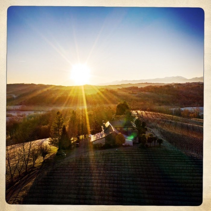 Sonnenaufgang über unserem Weingut